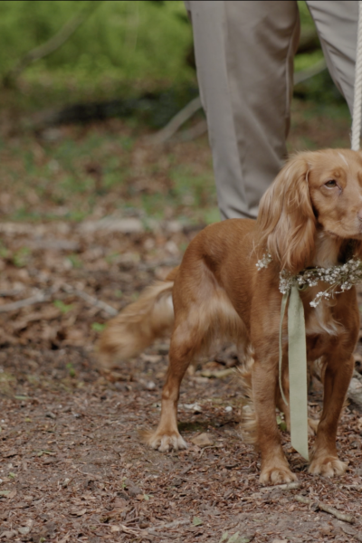 Screenshot 2025-09-08 at 09.49.56